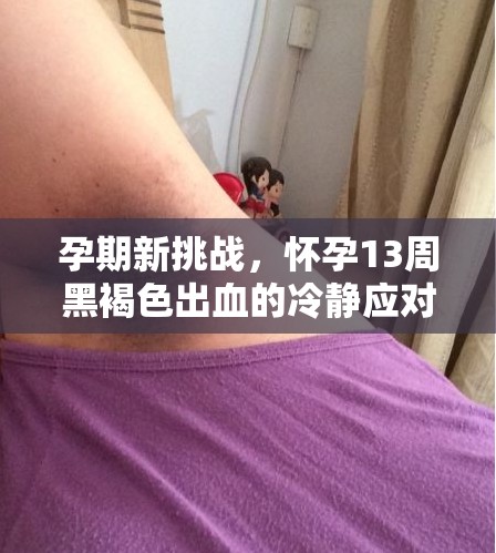 孕期新挑戰(zhàn)，懷孕13周黑褐色出血的冷靜應(yīng)對(duì)與科學(xué)指南