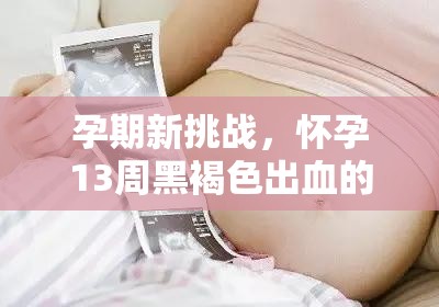 孕期新挑戰(zhàn)，懷孕13周黑褐色出血的冷靜應(yīng)對(duì)與科學(xué)指南