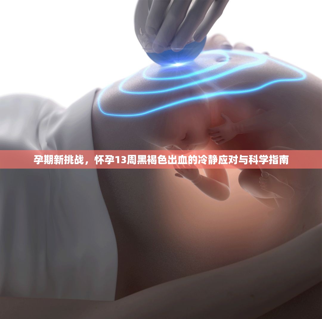 孕期新挑戰(zhàn)，懷孕13周黑褐色出血的冷靜應(yīng)對(duì)與科學(xué)指南