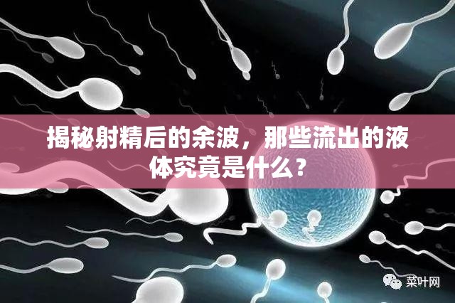 揭秘射精后的余波，那些流出的液體究竟是什么？