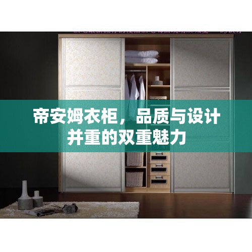 帝安姆衣柜，品質(zhì)與設(shè)計并重的雙重魅力