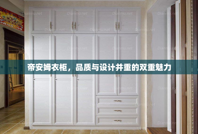 帝安姆衣柜，品質(zhì)與設(shè)計并重的雙重魅力