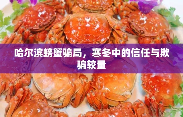 哈爾濱螃蟹騙局，寒冬中的信任與欺騙較量