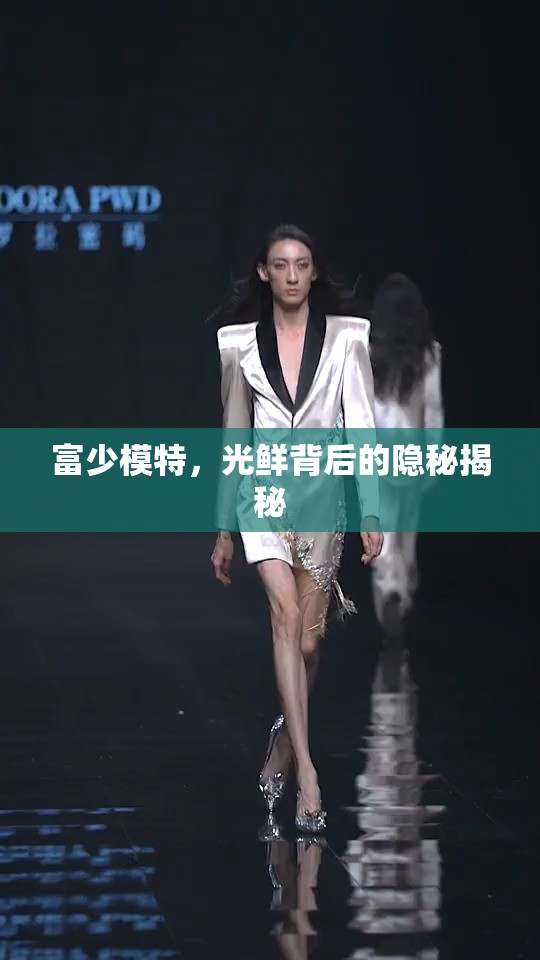富少模特，光鮮背后的隱秘揭秘