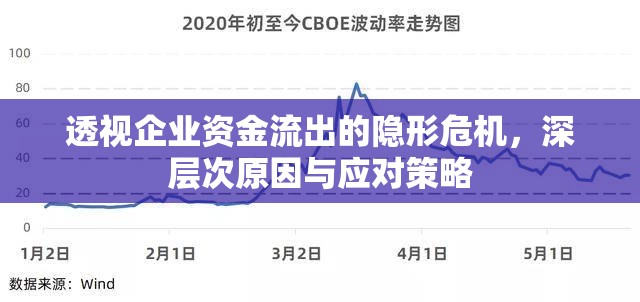 透視企業(yè)資金流出的隱形危機(jī)，深層次原因與應(yīng)對(duì)策略