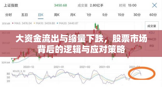 大資金流出與縮量下跌，股票市場背后的邏輯與應(yīng)對策略