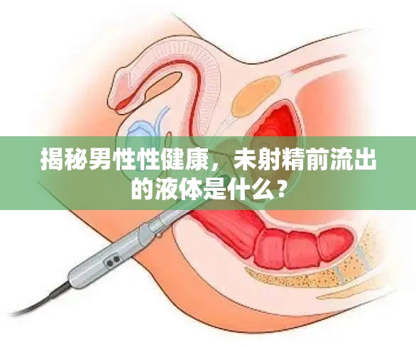 揭秘男性性健康，未射精前流出的液體是什么？
