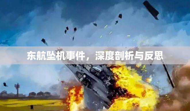 東航墜機(jī)事件，深度剖析與反思