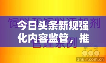 今日頭條新規(guī)強化內(nèi)容監(jiān)管，推動健康網(wǎng)絡(luò)生態(tài)的構(gòu)建