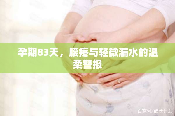 孕期83天，腰疼與輕微漏水的溫柔警報(bào)