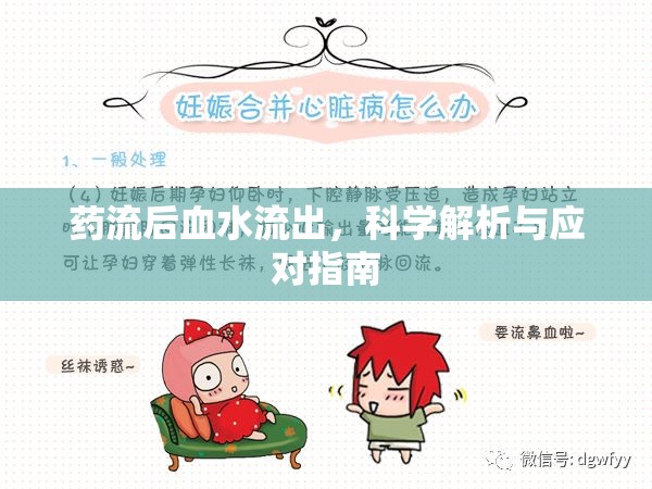 藥流后血水流出，科學(xué)解析與應(yīng)對(duì)指南