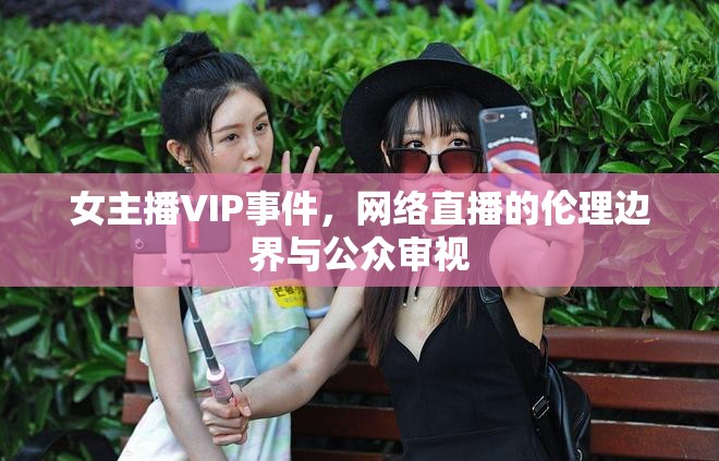 女主播VIP事件，網(wǎng)絡(luò)直播的倫理邊界與公眾審視