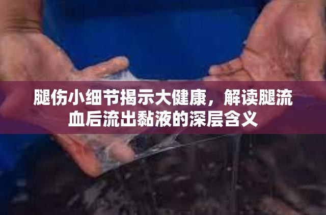 腿傷小細(xì)節(jié)揭示大健康，解讀腿流血后流出黏液的深層含義