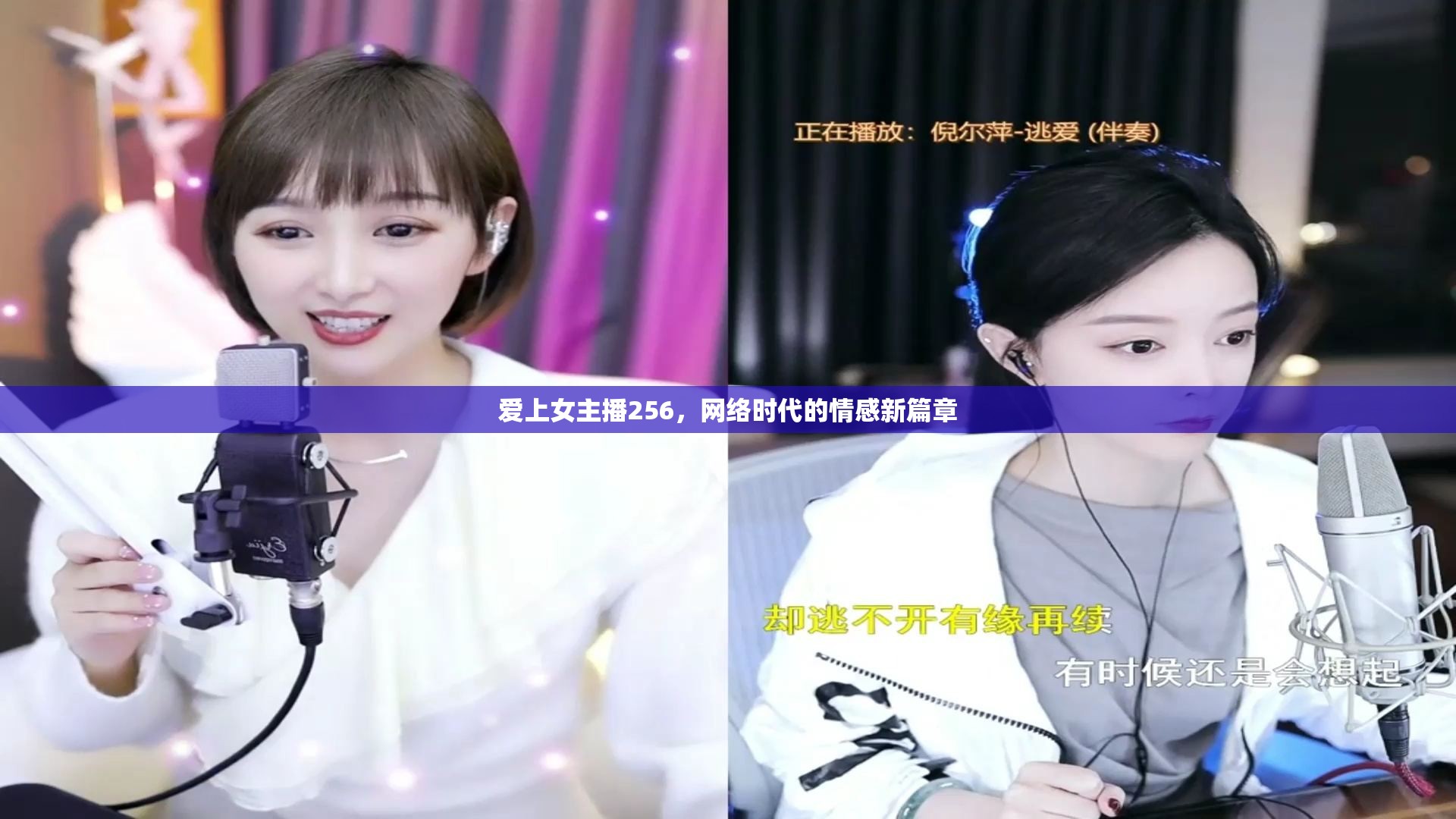 愛(ài)上女主播256，網(wǎng)絡(luò)時(shí)代的情感新篇章