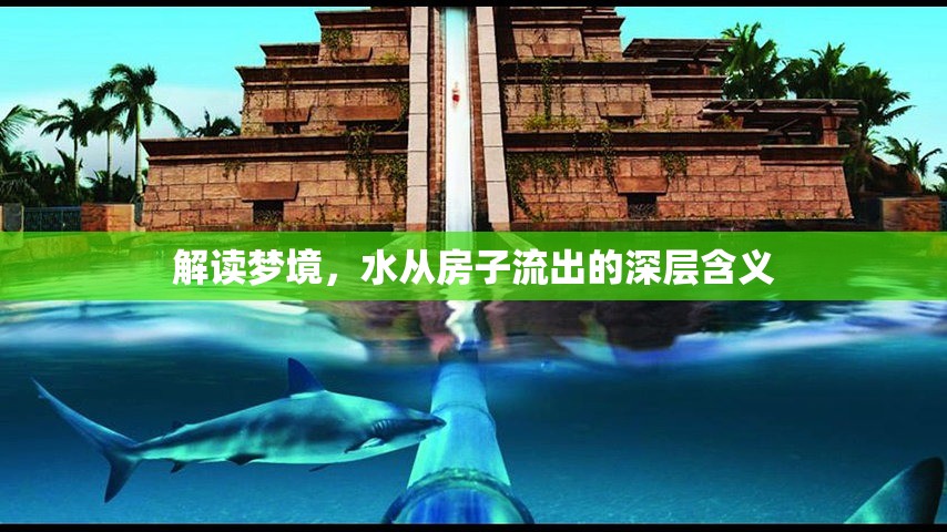 解讀夢境，水從房子流出的深層含義
