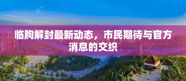 臨朐解封最新動(dòng)態(tài)，市民期待與官方消息的交織