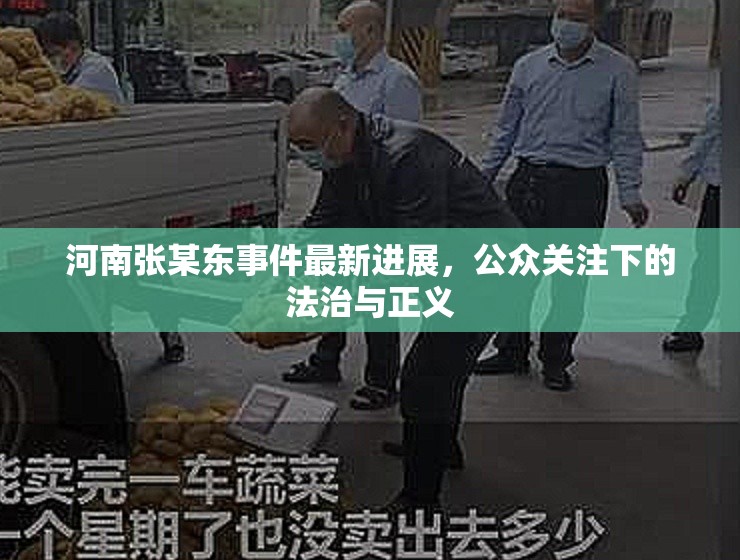 河南張某東事件最新進(jìn)展，公眾關(guān)注下的法治與正義