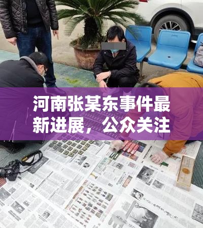 河南張某東事件最新進(jìn)展，公眾關(guān)注下的法治與正義