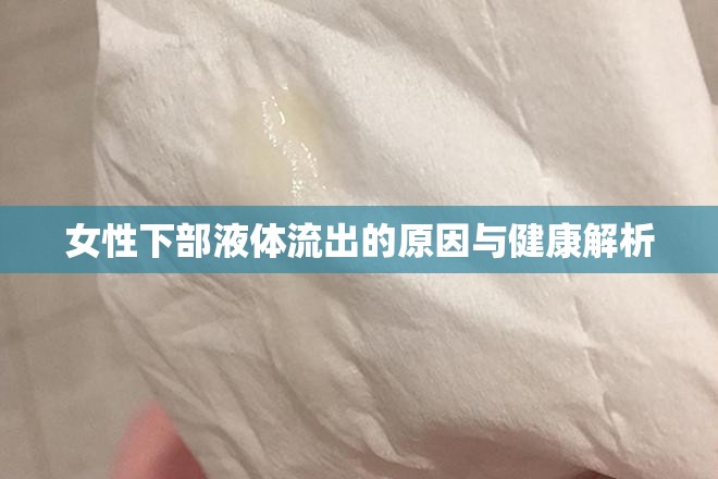 女性下部液體流出的原因與健康解析