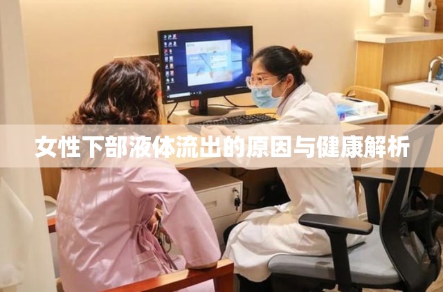 女性下部液體流出的原因與健康解析