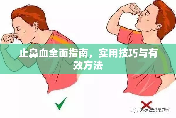 止鼻血全面指南，實用技巧與有效方法