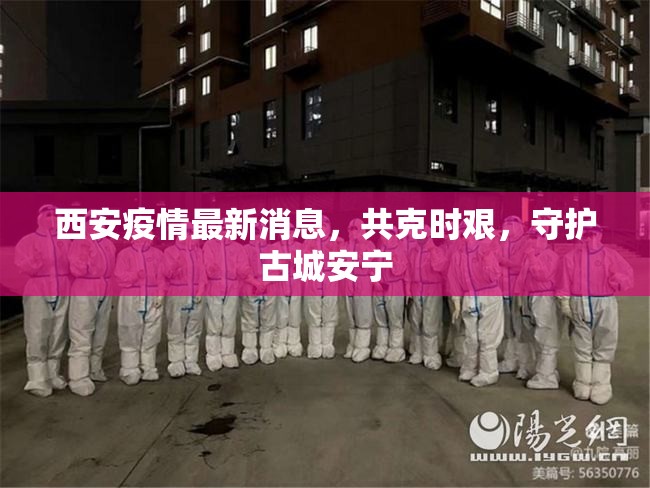西安疫情最新消息，共克時(shí)艱，守護(hù)古城安寧