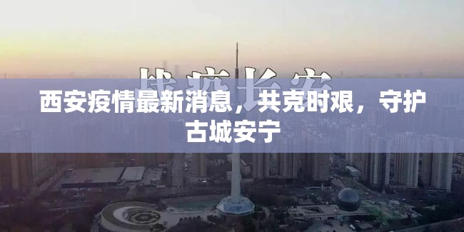西安疫情最新消息，共克時(shí)艱，守護(hù)古城安寧