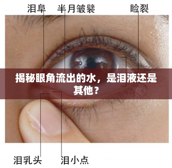 揭秘眼角流出的水，是淚液還是其他？