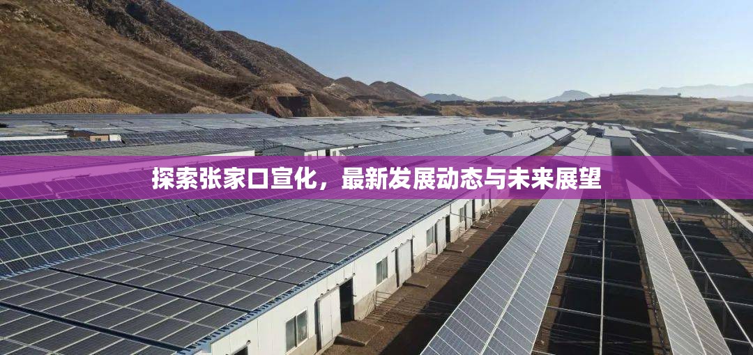 探索張家口宣化，最新發(fā)展動態(tài)與未來展望