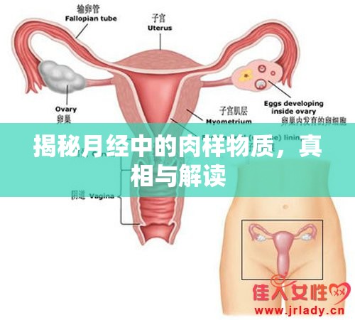 揭秘月經(jīng)中的肉樣物質(zhì)，真相與解讀