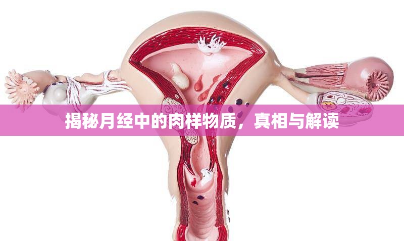 揭秘月經(jīng)中的肉樣物質(zhì)，真相與解讀