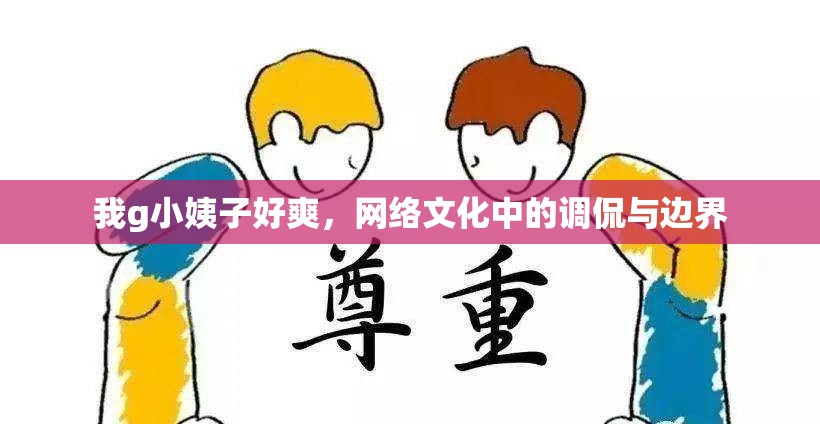 我g小姨子好爽，網(wǎng)絡(luò)文化中的調(diào)侃與邊界