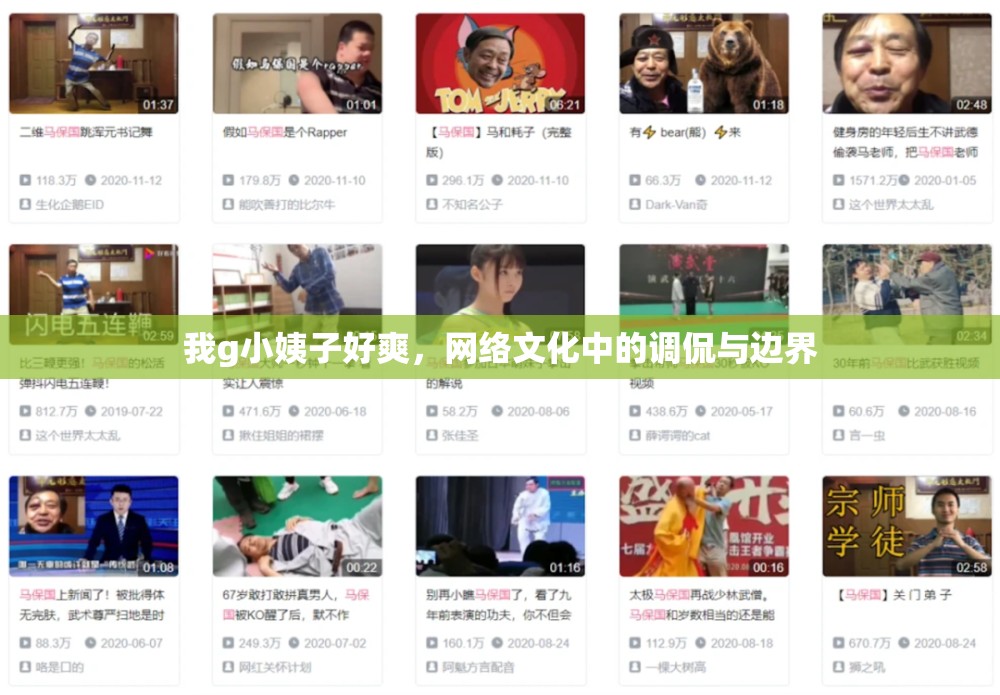 我g小姨子好爽，網(wǎng)絡(luò)文化中的調(diào)侃與邊界