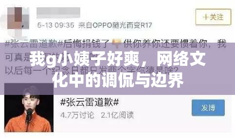 我g小姨子好爽，網(wǎng)絡(luò)文化中的調(diào)侃與邊界
