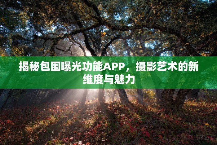 揭秘包圍曝光功能APP，攝影藝術(shù)的新維度與魅力