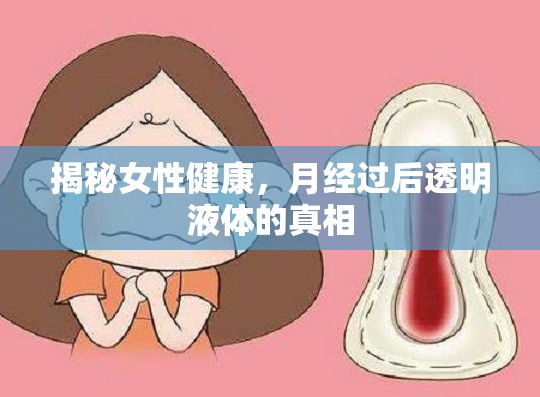 揭秘女性健康，月經(jīng)過后透明液體的真相