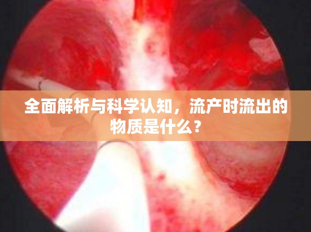 全面解析與科學認知，流產(chǎn)時流出的物質是什么？