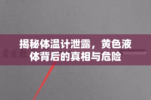 揭秘體溫計(jì)泄露，黃色液體背后的真相與危險(xiǎn)