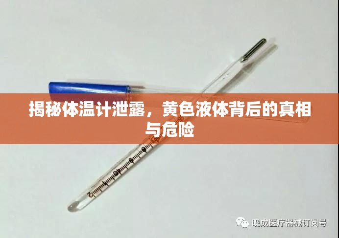 揭秘體溫計(jì)泄露，黃色液體背后的真相與危險(xiǎn)