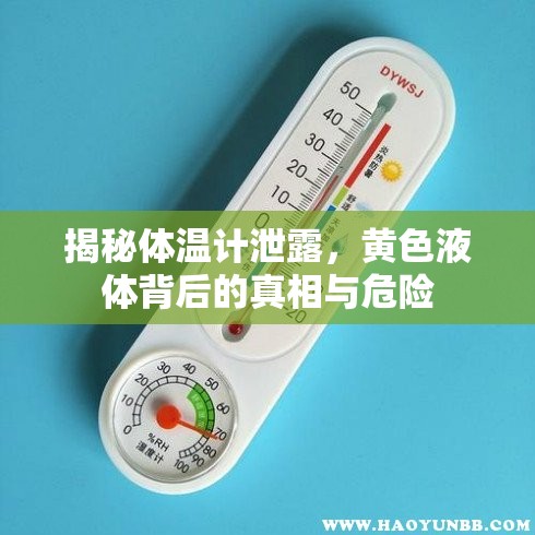 揭秘體溫計(jì)泄露，黃色液體背后的真相與危險(xiǎn)