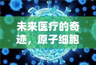未來(lái)醫(yī)療的奇跡，原子細(xì)胞研究的最新進(jìn)展