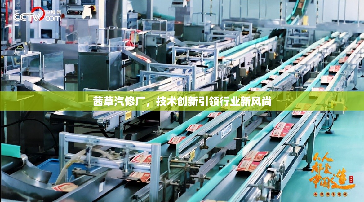 茜草汽修廠，技術(shù)創(chuàng)新引領(lǐng)行業(yè)新風(fēng)尚