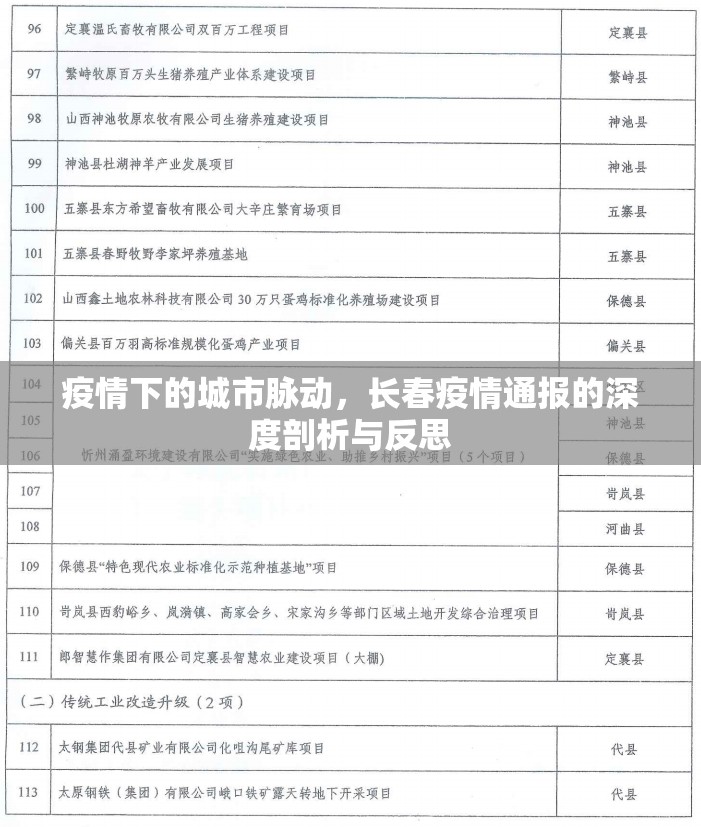 疫情下的城市脈動，長春疫情通報的深度剖析與反思
