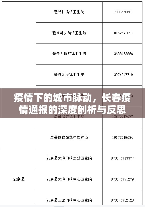 疫情下的城市脈動，長春疫情通報的深度剖析與反思