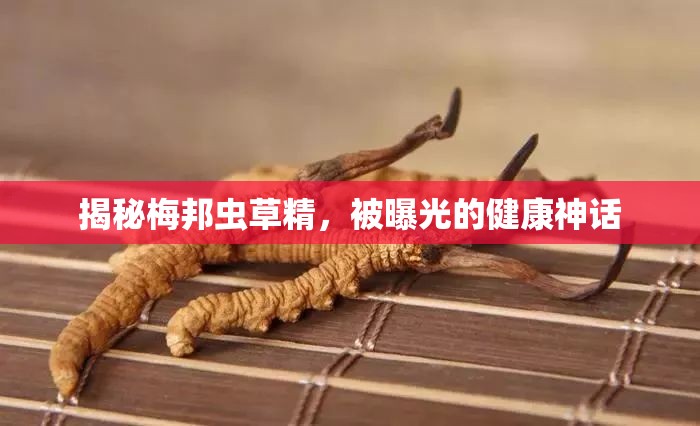 揭秘梅邦蟲(chóng)草精，被曝光的健康神話