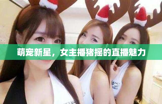 萌寵新星，女主播豬搖的直播魅力