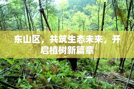 東山區(qū)，共筑生態(tài)未來，開啟植樹新篇章