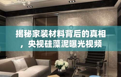 揭秘家裝材料背后的真相，央視硅藻泥曝光視頻