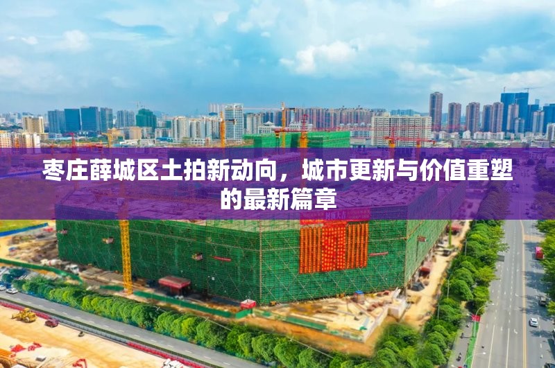 棗莊薛城區(qū)土拍新動(dòng)向，城市更新與價(jià)值重塑的最新篇章
