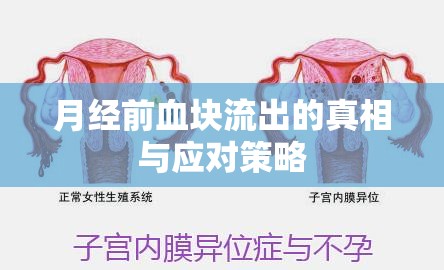 月經前血塊流出的真相與應對策略
